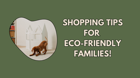 Black Friday and Cyber Monday Shopping Tips for Eco-Friendly Families